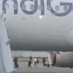 people walking around a plane